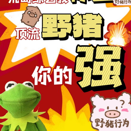 荒岛综艺我称王,顶流野猪你的强