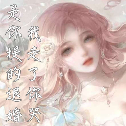是你提的退婚,我走了你哭什么