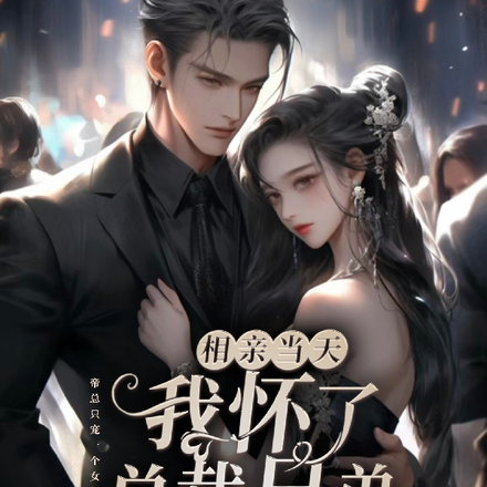 相亲当天,怀了总裁兄弟的孩子