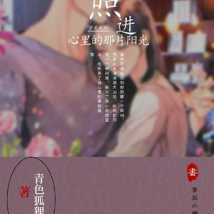 照进心里的那片阳光