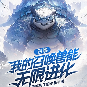召唤:我的召唤兽能无限进化