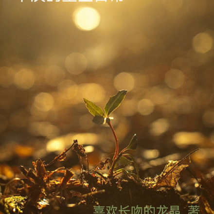 平淡的重生日常