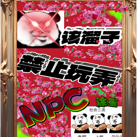该溜子禁止玩弄NPC