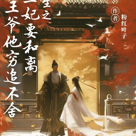 穿越之王妃要和离王爷他穷追不舍