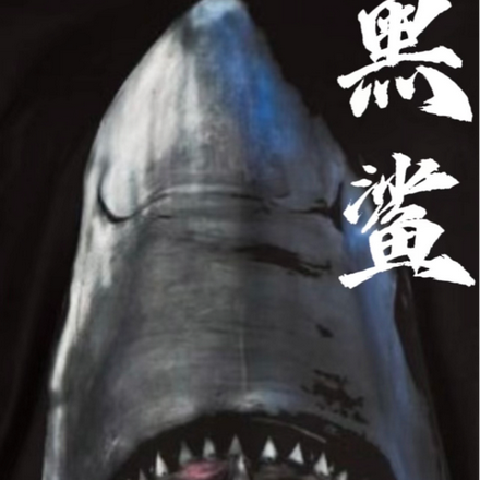 黑鲨