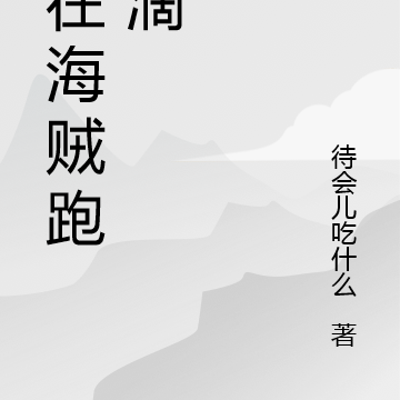 我在海贼跑滴滴