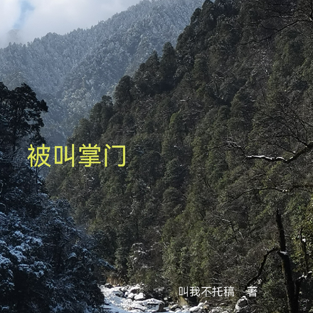被叫掌门
