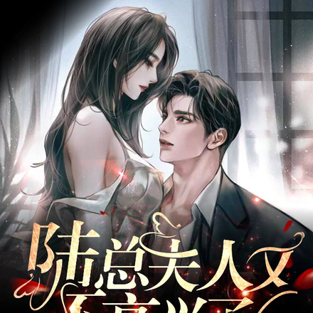 陆总,夫人又不高兴了
