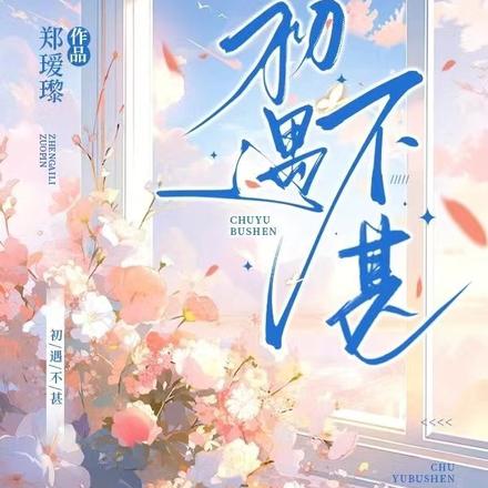 初遇不甚