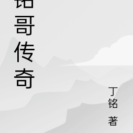 扫黑风暴之铭哥传奇