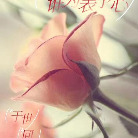 谁为表予心