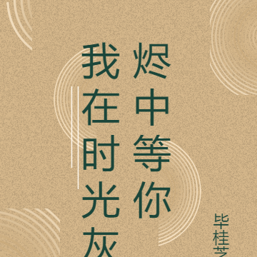 我在时光灰烬中等你