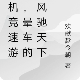 随机竞速游戏,晕车的我风驰天下