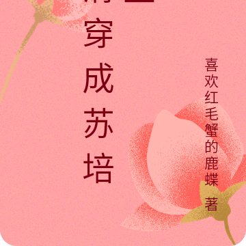 清穿成为五福晋的小说