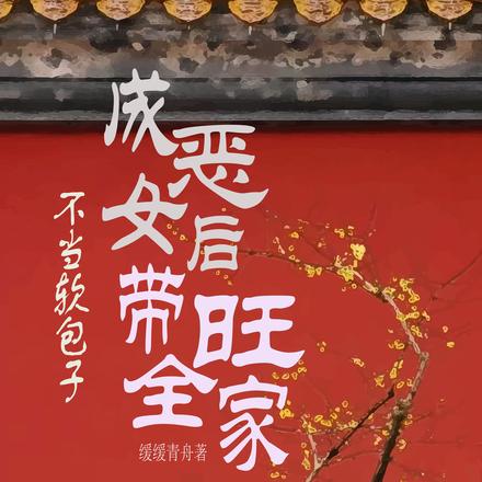 不当软包子！成恶女后带旺全家