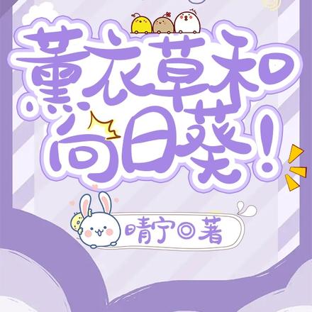 薰衣草和向日葵！