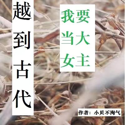 穿越到古代，我要当大女主