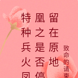特种兵火凤凰之是否停留在原地
