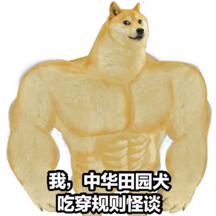 我，中华田园犬，吃穿规则怪谈