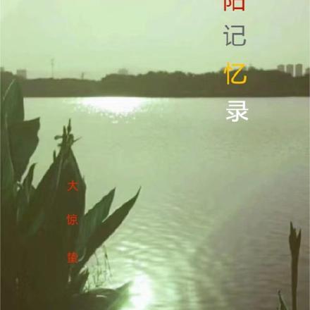 阴阳记忆录