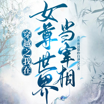 穿越之我在女尊世界当宰相