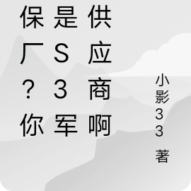环保厂?你就是s3军火供应商啊