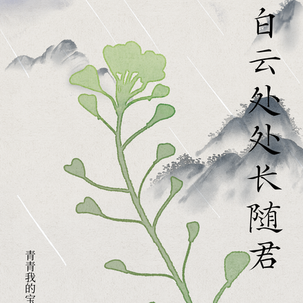 白云处处长随君