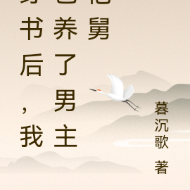 穿书后,我包养了男主他舅