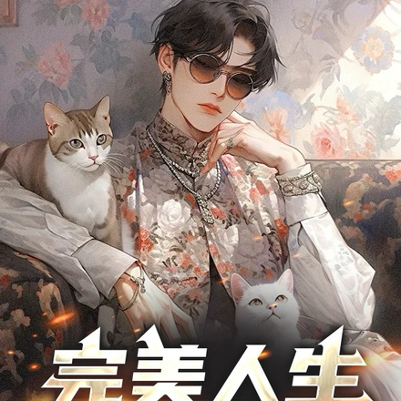 完美人生的2次方