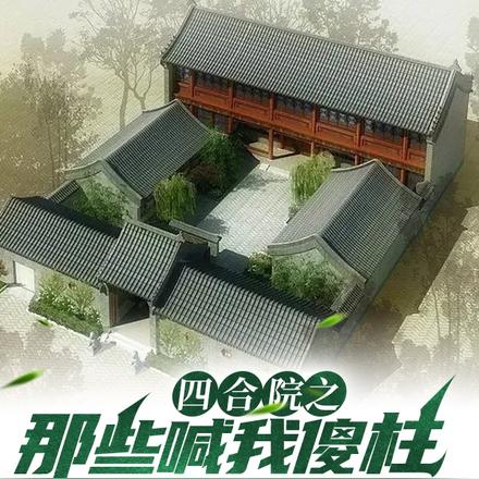 四合院之那些喊我傻柱的大冤种