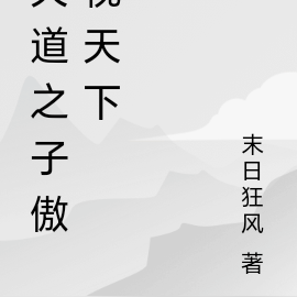天道之子傲视天下