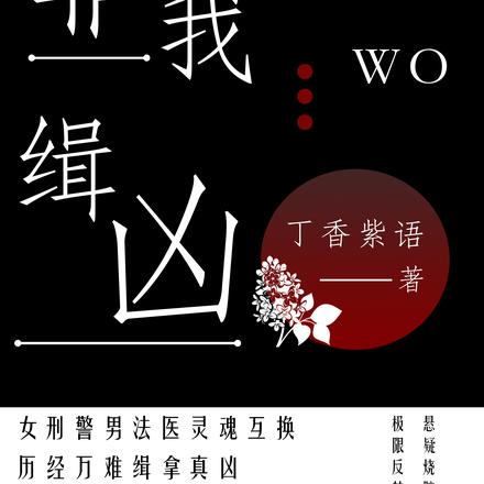 非我缉凶