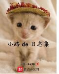 小路de日志集