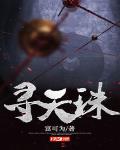寻天珠