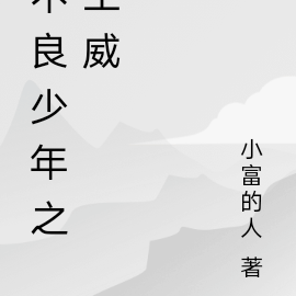 不良少年之王伟
