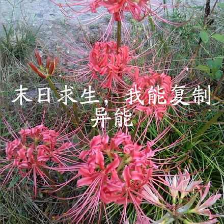 末日求生，我能复制异能