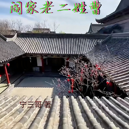 四合院之阎家老二姓曹