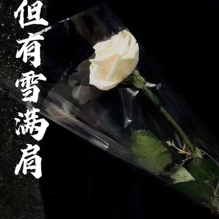 但有雪满肩