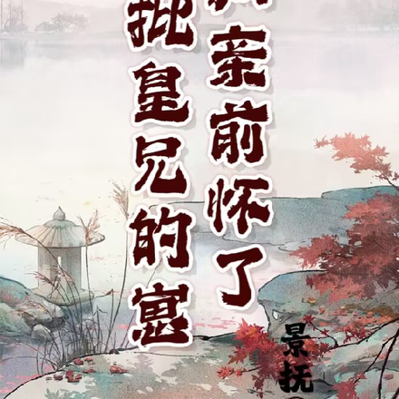 和亲前怀了疯批太子的崽