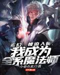 玄幻:被迫入赘,我成为全系魔法师