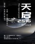 天启2516