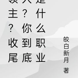 领主?收尾人?你到底是什么职业