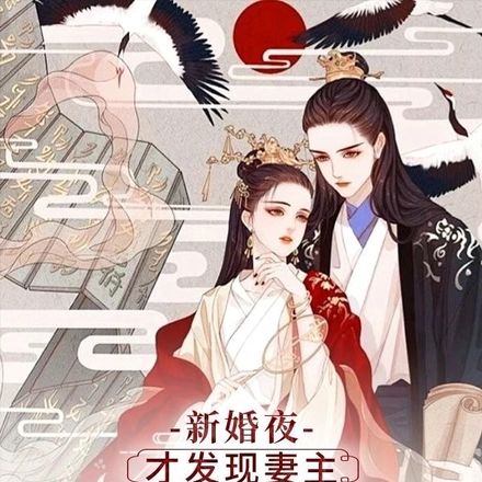 新婚夜,才发现妻主她身份不凡!