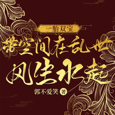 一胎双宝：带空间在乱世风生水起