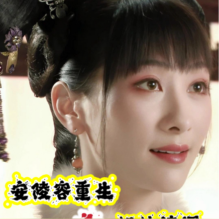 安陵容重生之姐妹情深