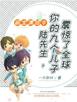 萌宝集结令:陆先生,你的九个儿子震惊了全